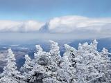 Camels Hump 021